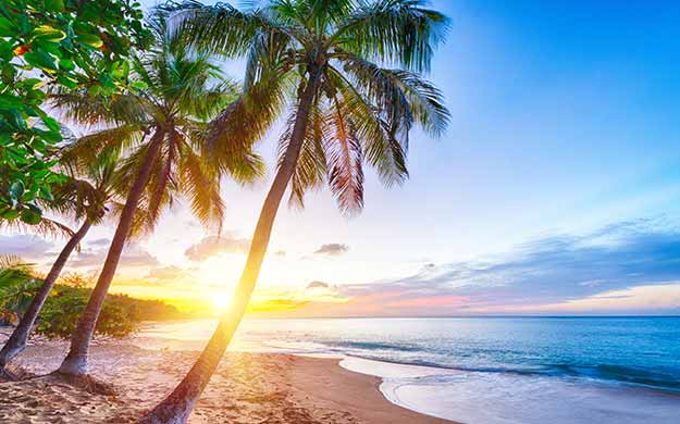 Guadeloupe Escale Plage en Croisiere Catamaran - Catlante