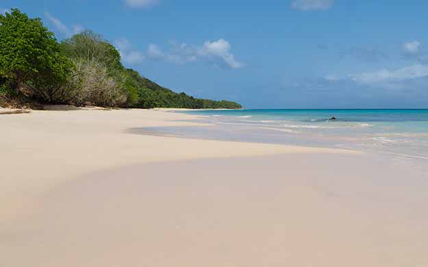 Guadeloupe Marie Galante en Croisiere Catamaran - Catlante