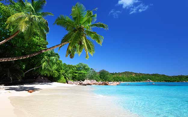 Seychelles Praslin Anse Lazio - Catlante