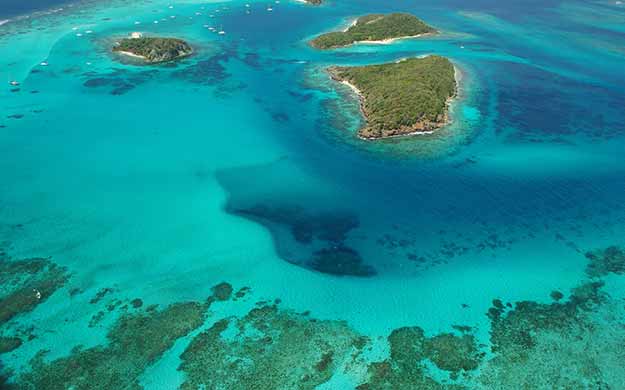 Grenadines Croisiere Catamaran dans les Tobago Cays - Catlante