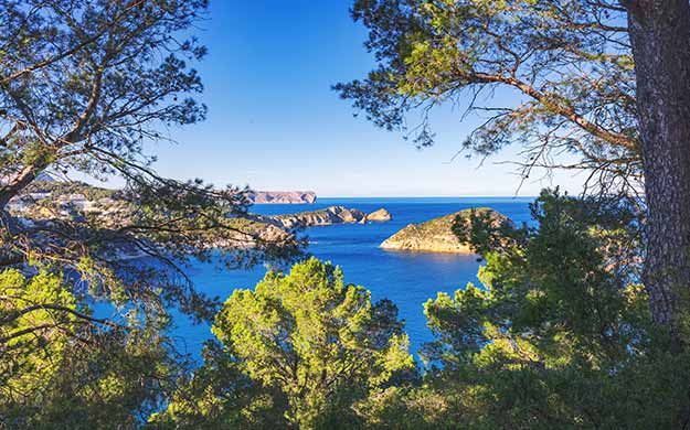 Provence le Cap Negre en Croisiere - Catlante