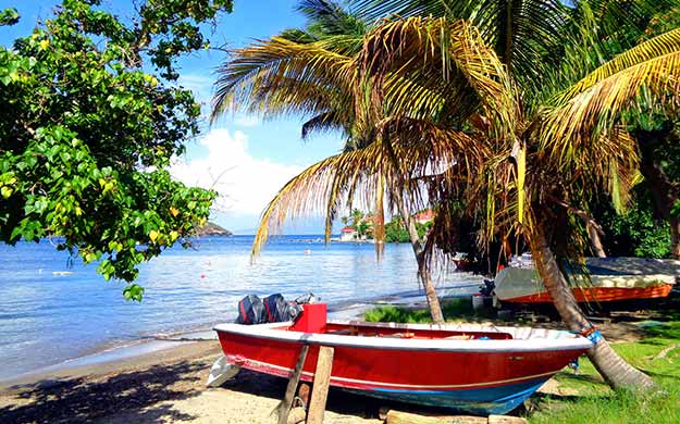 Guadeloupe Plage Archipel des Saintes - Catlante