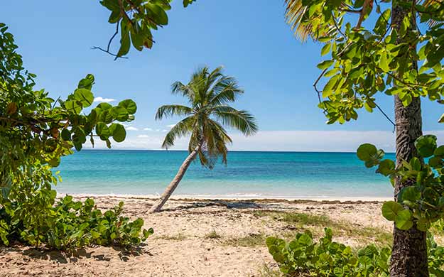 Grenadines Fin de la Croisiere a Ste Anne Martinique - Catlante