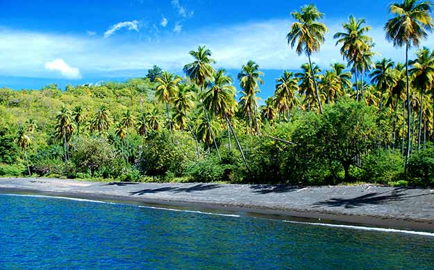 Grenadines Escale en Croisiere Catamaran a St Vincent - Catlante