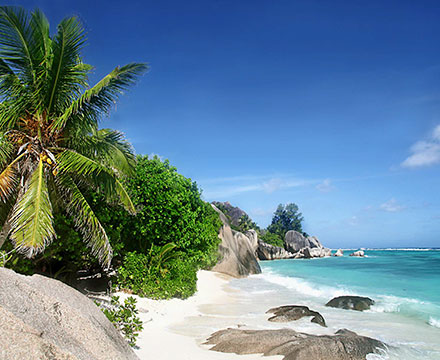 Flyer Seychelles - Catlante