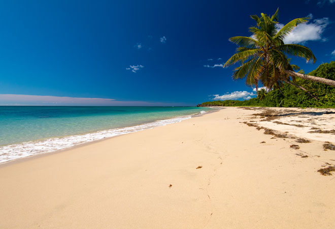 Guadeloupe, Dominique, Martinique - 8 jours