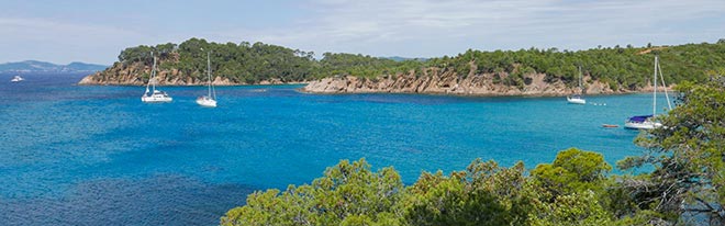 Provence Ile de Porquerolle - Catlante