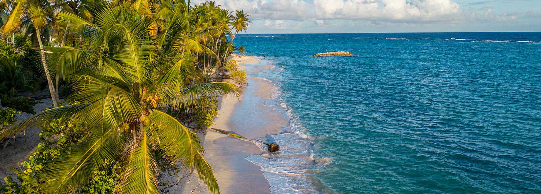 Guadeloupe Plage de Marie Galante - Catlante
