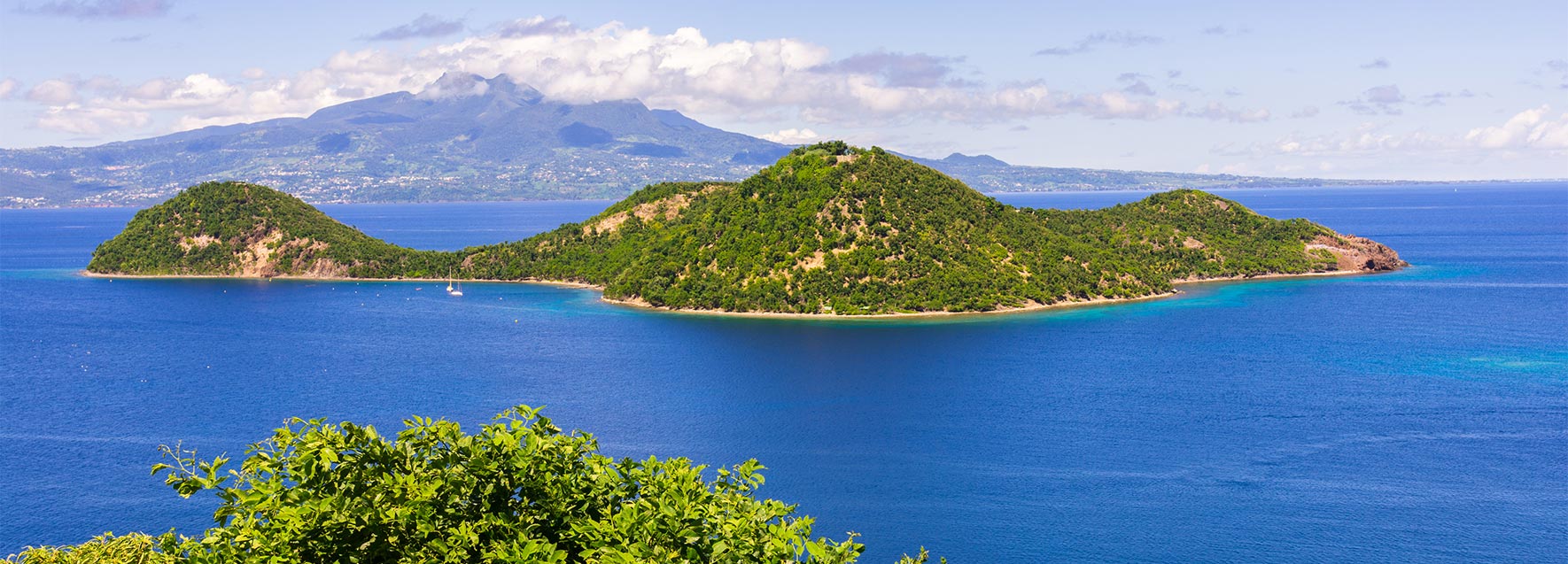 Guadeloupe les Saintes Terre Haut Ilotilot - Catlante