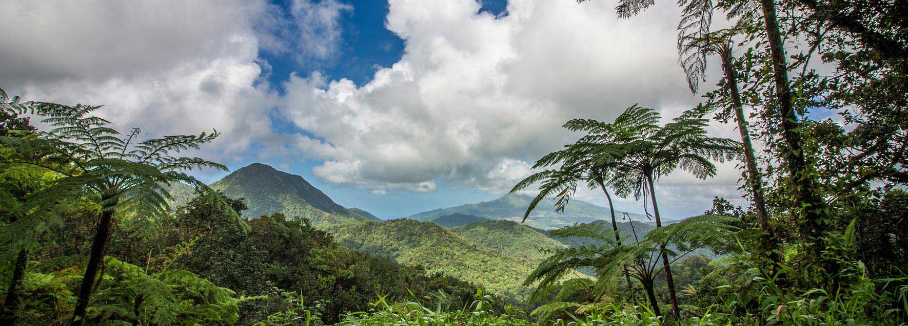 Partir en Martinique, Dominique, les Saintes - Catlante