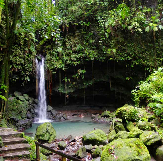 Partir en Guadeloupe - Catlante
