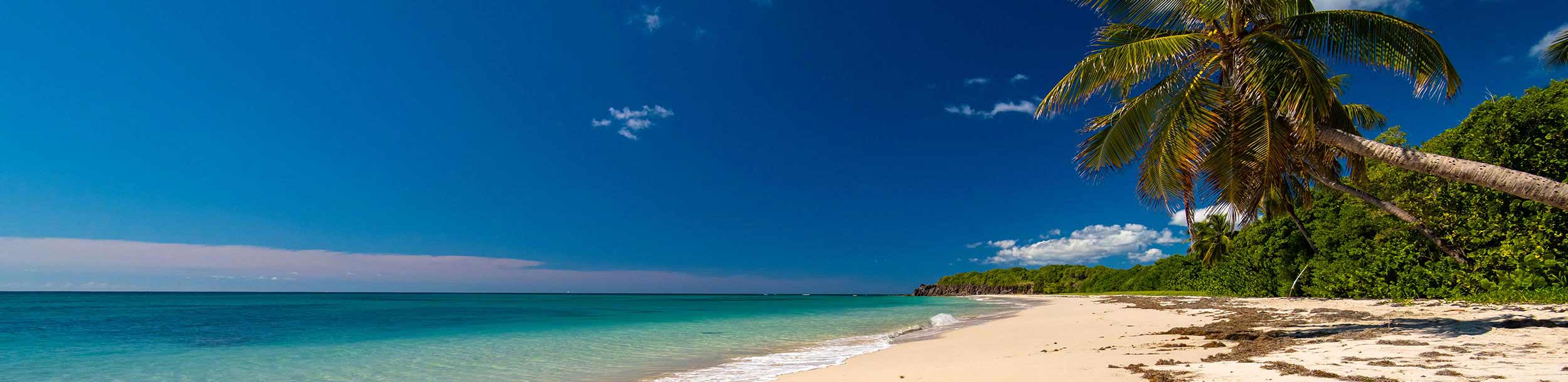 Partir en Martinique, Dominique, les Saintes - Catlante