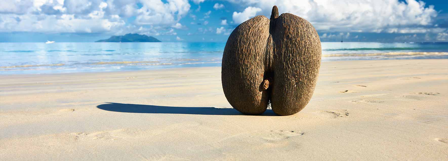 Partir aux Seychelles - Catlante