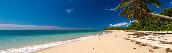 Martinique Plage Saline - Catlante