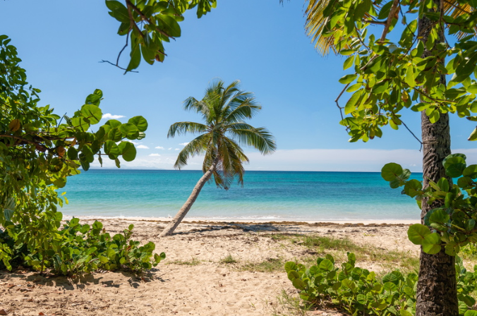 Votre prochaine escale dans les Grenadines - Catlante
