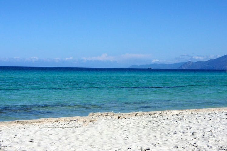 La plage de Saleccia : grains blancs et mer lumineuse