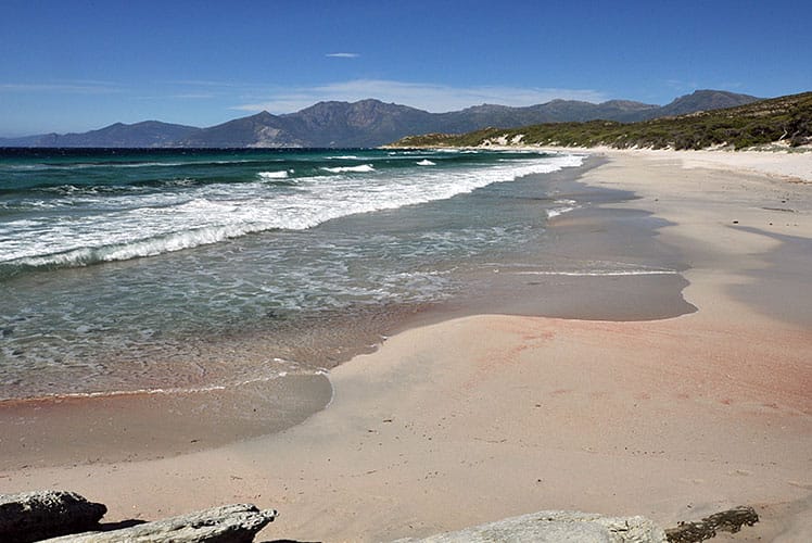 Plage de Saleccia protégée et réglementée