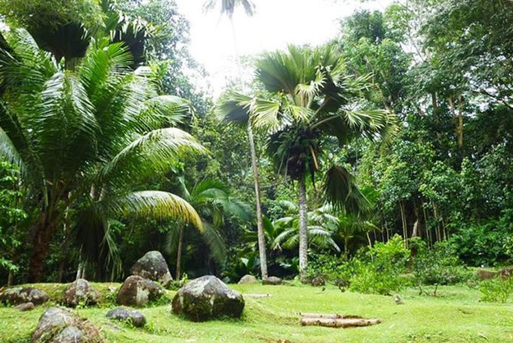 Explorer les environs : du Jardin du Roi à la gastronomie