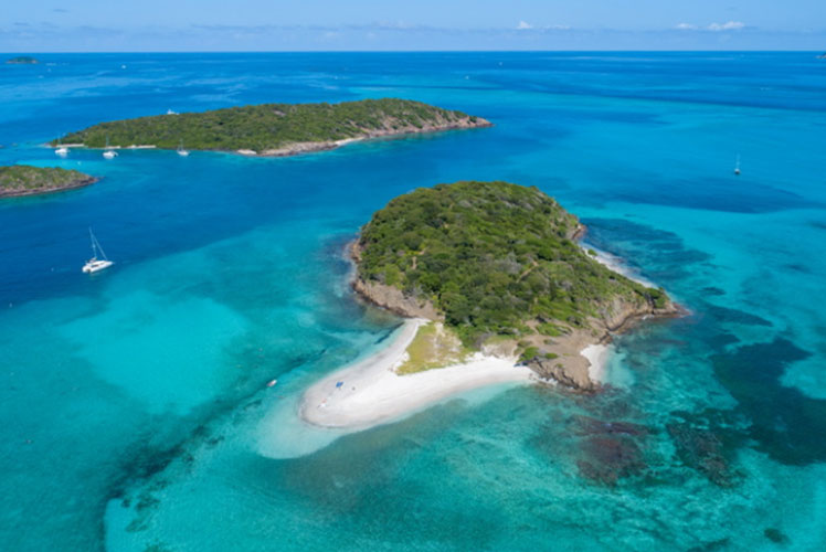 Tobago Cays - escapade nature au cœur des Grenadines - Catlante