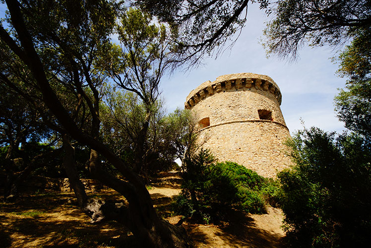 La tour de Campomoro