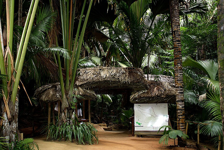 La Vallée de Mai