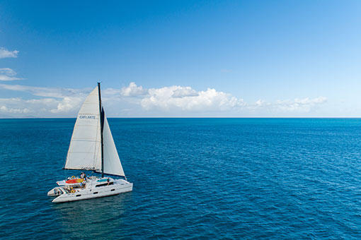 Provence, les Calanques de Cassis en Catamaran.jpg - Catlante