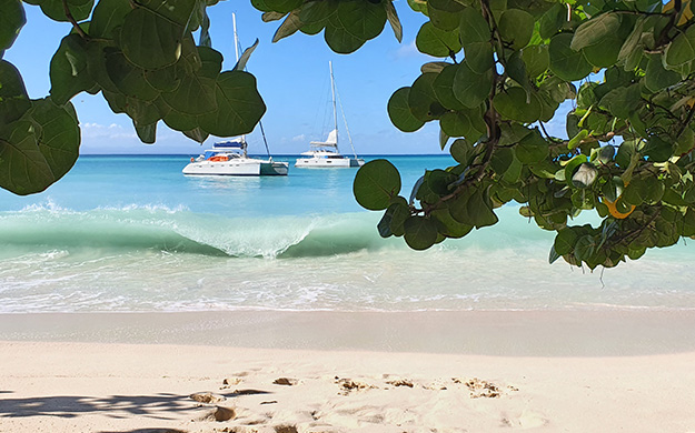 Jour1 Guadeloupe Plage Cata - Catlante