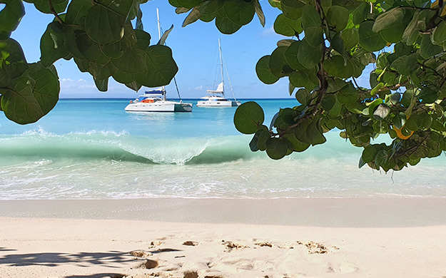 Jour 7 Guadeloupe Plage Cata - Catlante